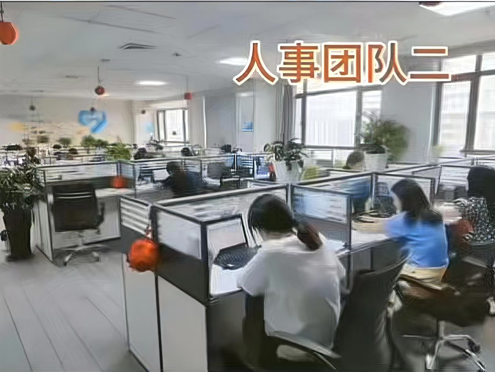 云途团队