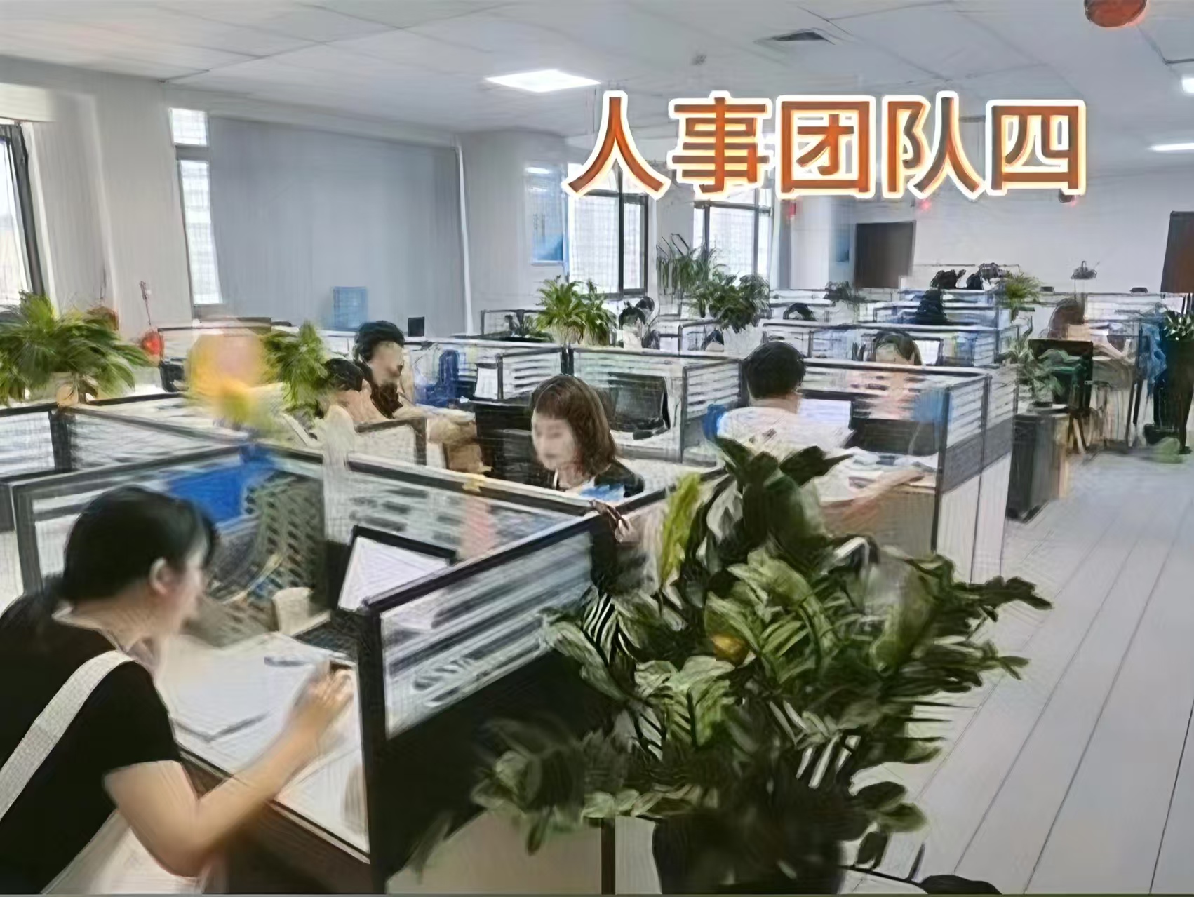 云途团队